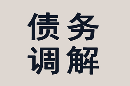 法定代表人及股东个人借款的偿还责任问题